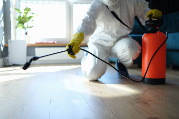 Reliable Hoarding Cleanup contractor in Flora, IL by Dulley Family Biohazard Services